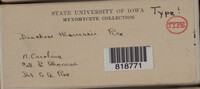 Image Associated With the Occurence